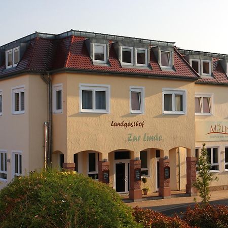 Hotel Linde Pfalz Silz  Exterior photo
